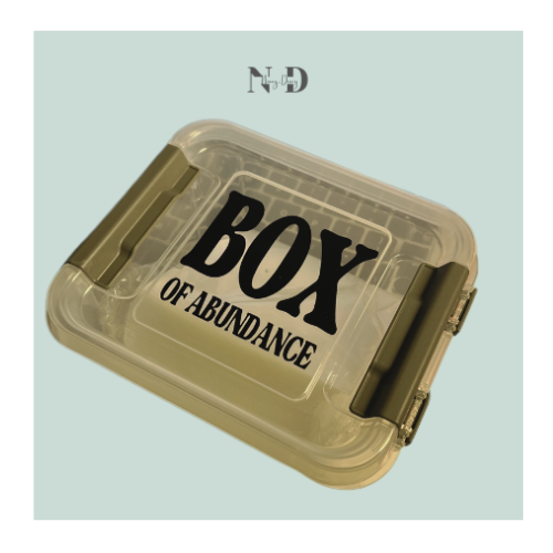 BOX of Abundance - 50 Envelopes Challenge
