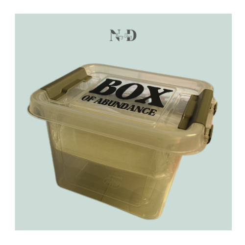 BOX of Abundance - 50 Envelopes Challenge
